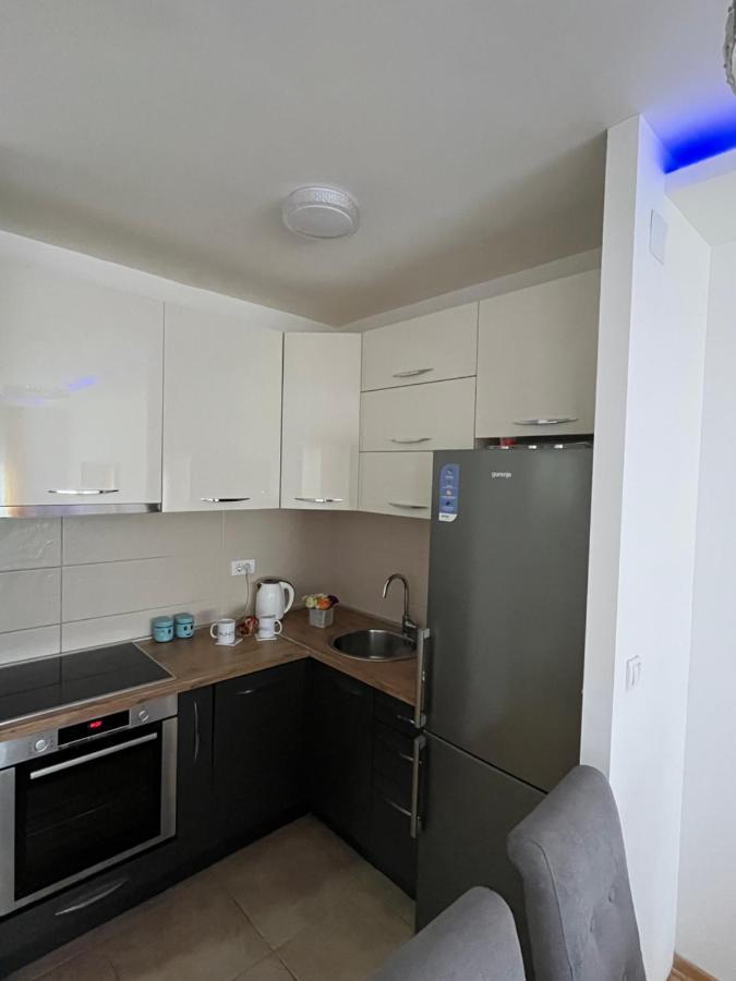 Paunov Breg Apartment Belgrade